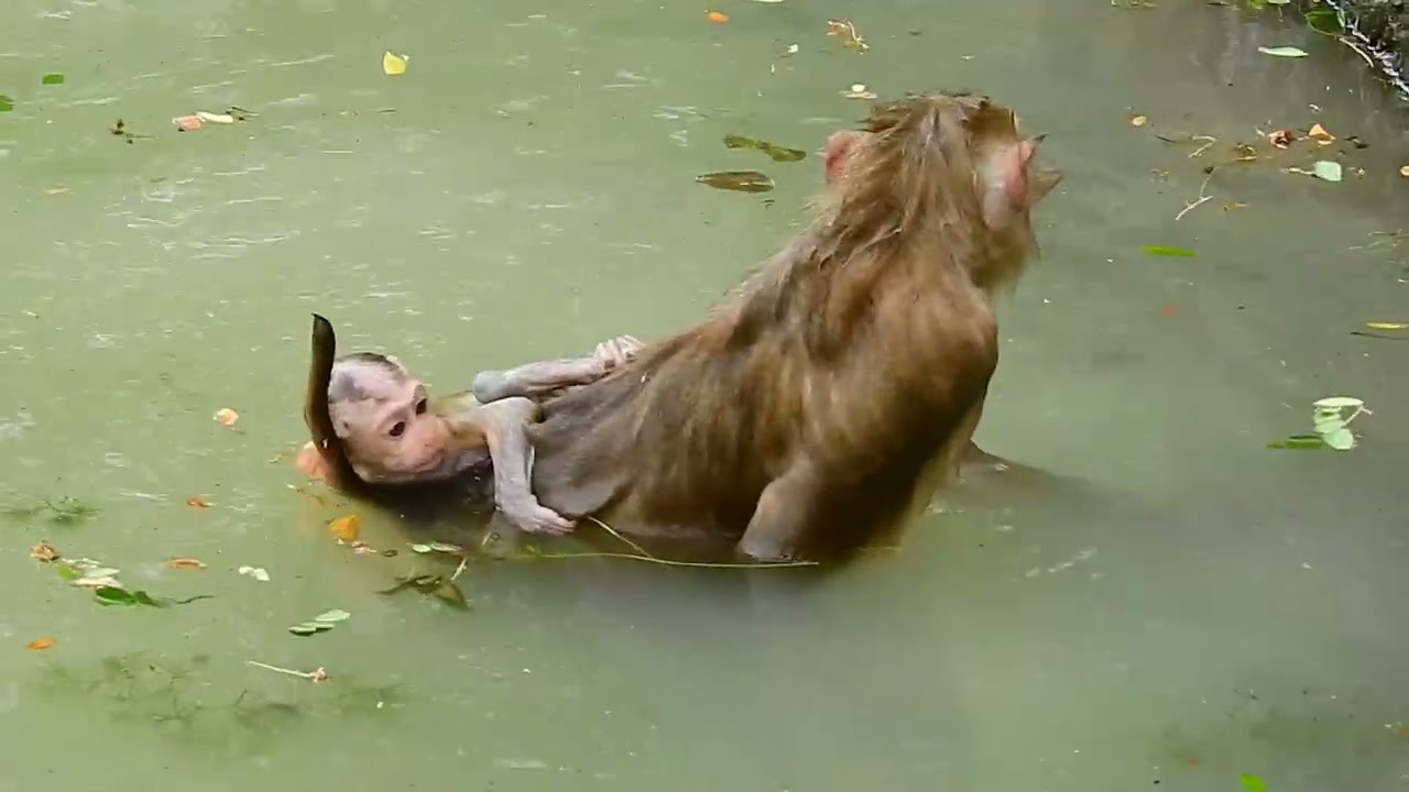 Surprise when saw Lucie Swim With Mom Luna