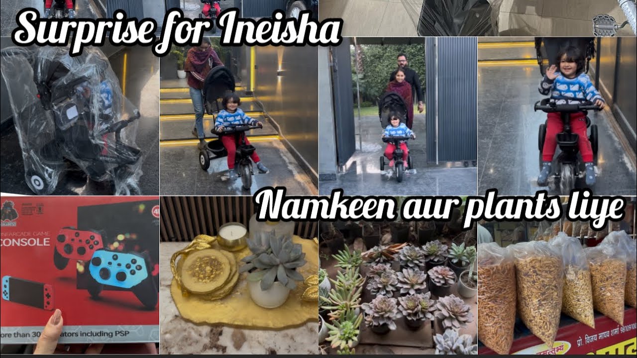 Surprise for Ineisha | nursery se plants liye | famous namkeen le kar aye | mannu Pannu vlogs