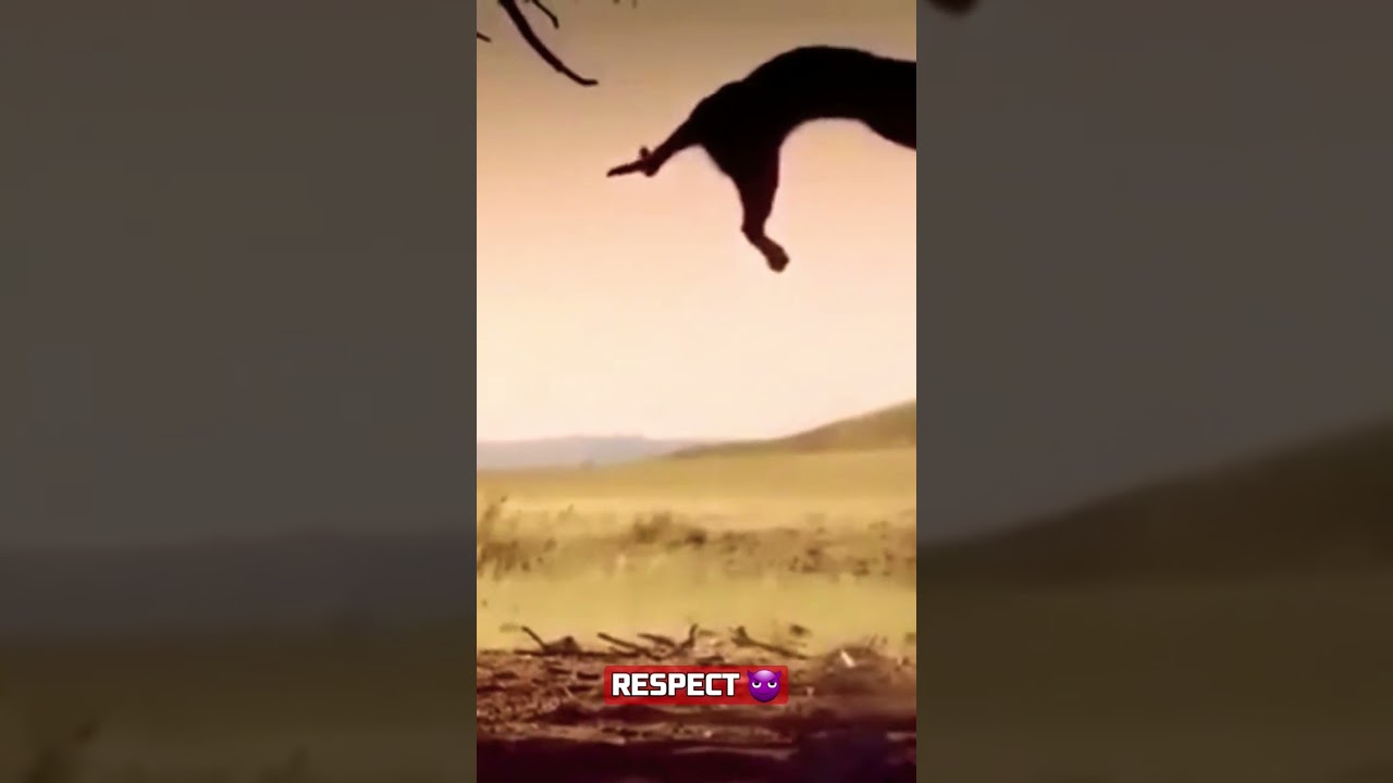 ⚡Hunting the Biggest Game in the World ☠ #hunting #cats #bird #viral #shortsviral #shortsfeed