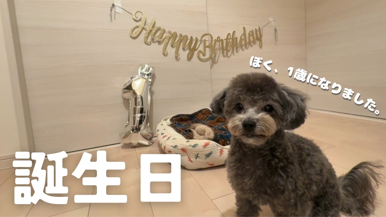【1歳のお誕生日】イメチェンしてお誕生日を迎えました！