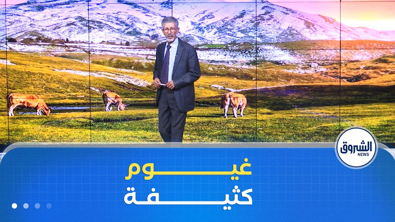 أحوال الطقس لـــيوم الجـــمعة 30 جانفي 2026 ⛈️🌧️