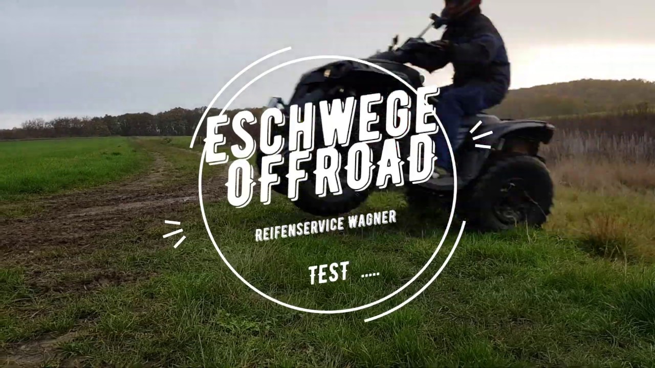 Renegade Can Am Differenzial hinten Radlager hinten wechseln Differenziallager
