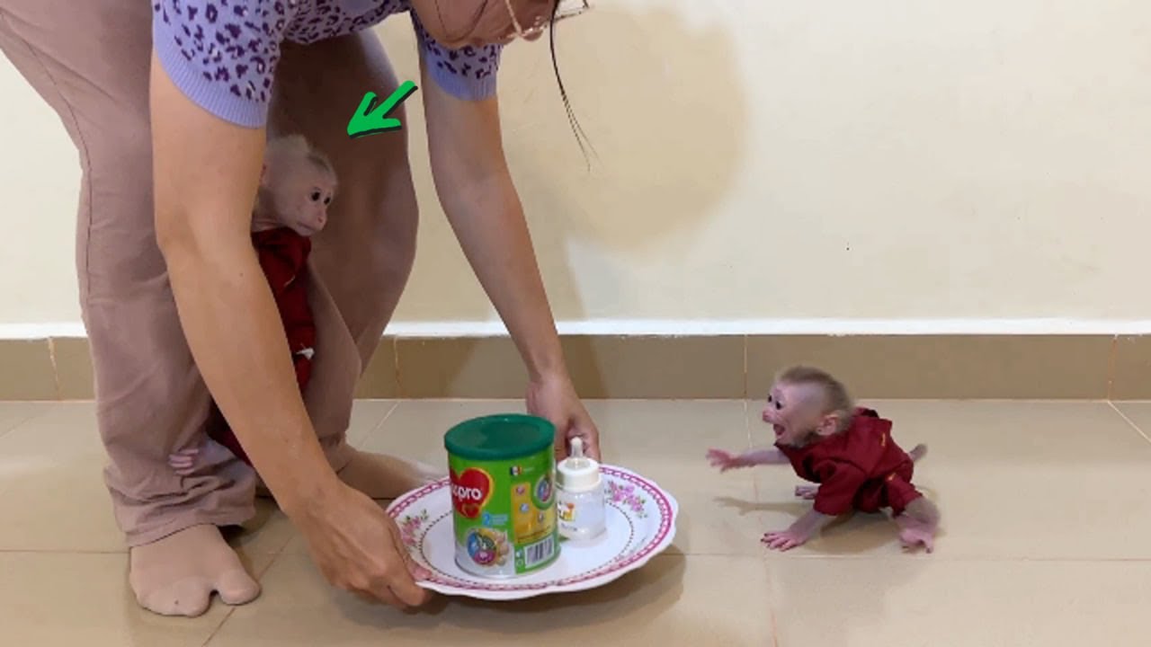 OMG.. Titas Cr-y Tantrum On Floor Anqry Pavpav Go To Hug Mom First