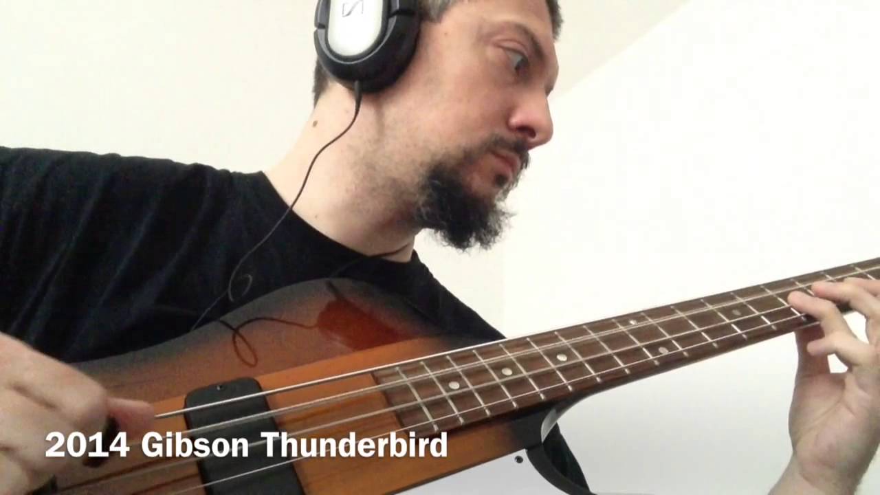 Ruby's bass reviews: Precision vs Thunderbird