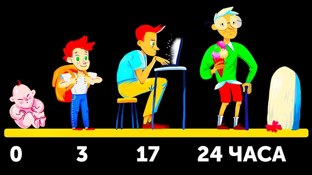 Представьте, что вы жили бы всего 24 часа