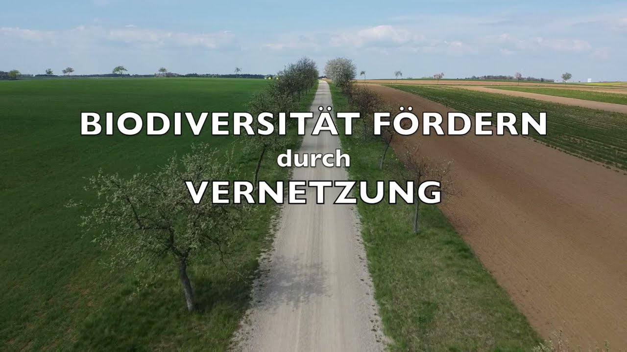 Biodiversität fördern durch Vernetzung