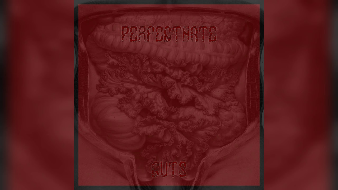 PerfectHate - Guts/Кишки