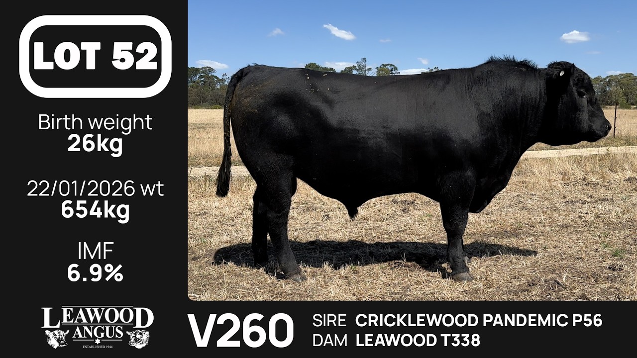 Lot 52 - Autumn Sale 2026