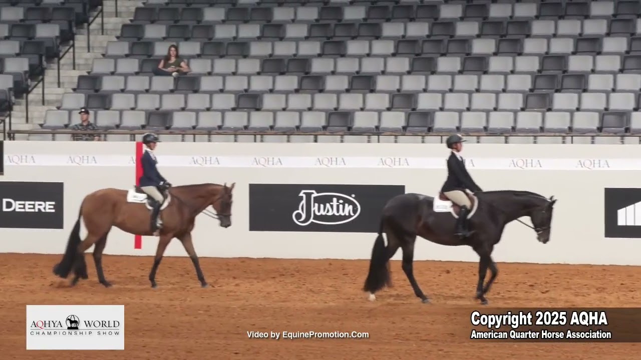 2025 Youth Working Hunter Under Saddle World Champion