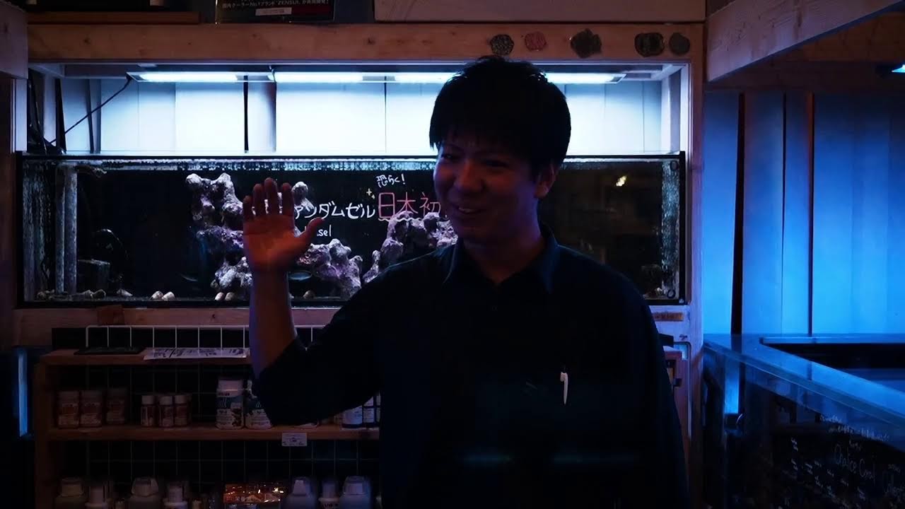 リミテッドショップマン海水編！ミドリイシ・キッカサンゴ！さらにおそらく日本初入荷？なお魚をご紹介