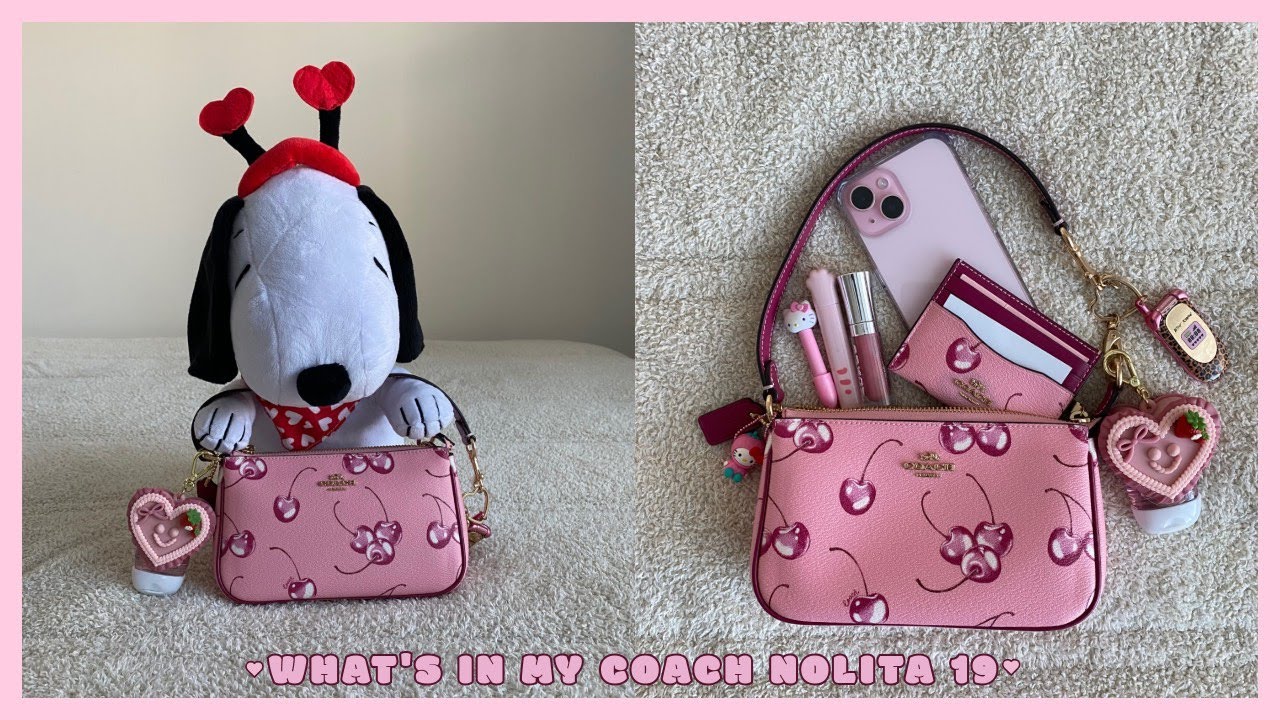 Coach cherry nolita 19🍒💖 (What fits, Mod shots, Review)
