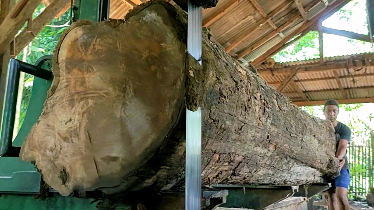 The extraordinary wood sawing process 