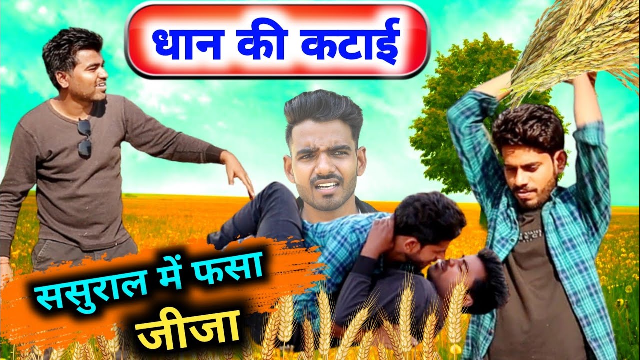 धान की कटाई 🌾ससुराल में फसा जीजा ।। अंकित बांदा कॉमेडी।। बुंदेली कॉमेडी।। Ankit Banda comedy