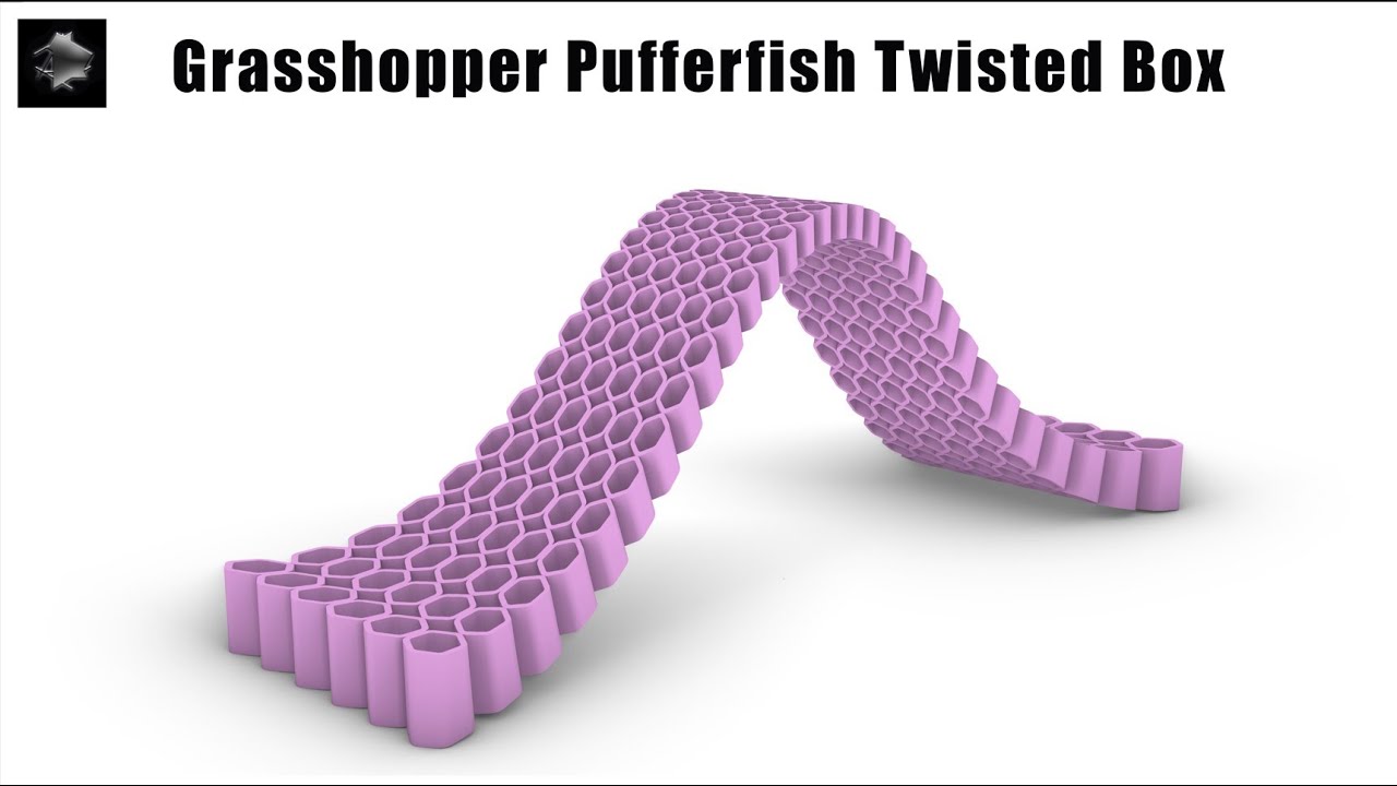 Grasshopper Pufferfish Twisted Box