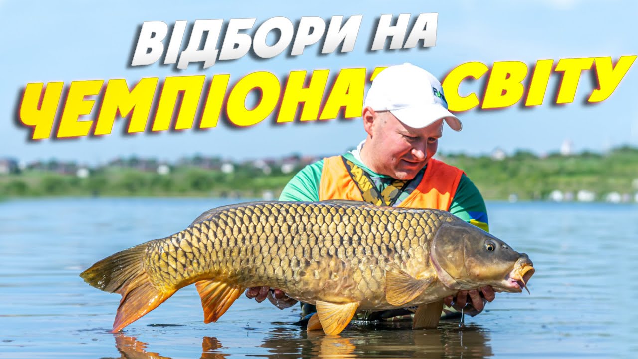 ОДНІЄЮ НОГОЮ на ЧЕМПІОНАТІ СВІТУ💪  Кубок України (відбори на ЧМ) з коропової ловлі🔥 #рибалка #короп