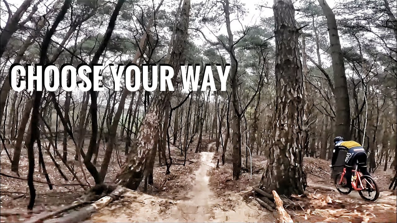 Mountainbike 🟣 PAARSE ROUTE Putte / Grenspark Kalmthoutse Heide | Ride My Bike #2