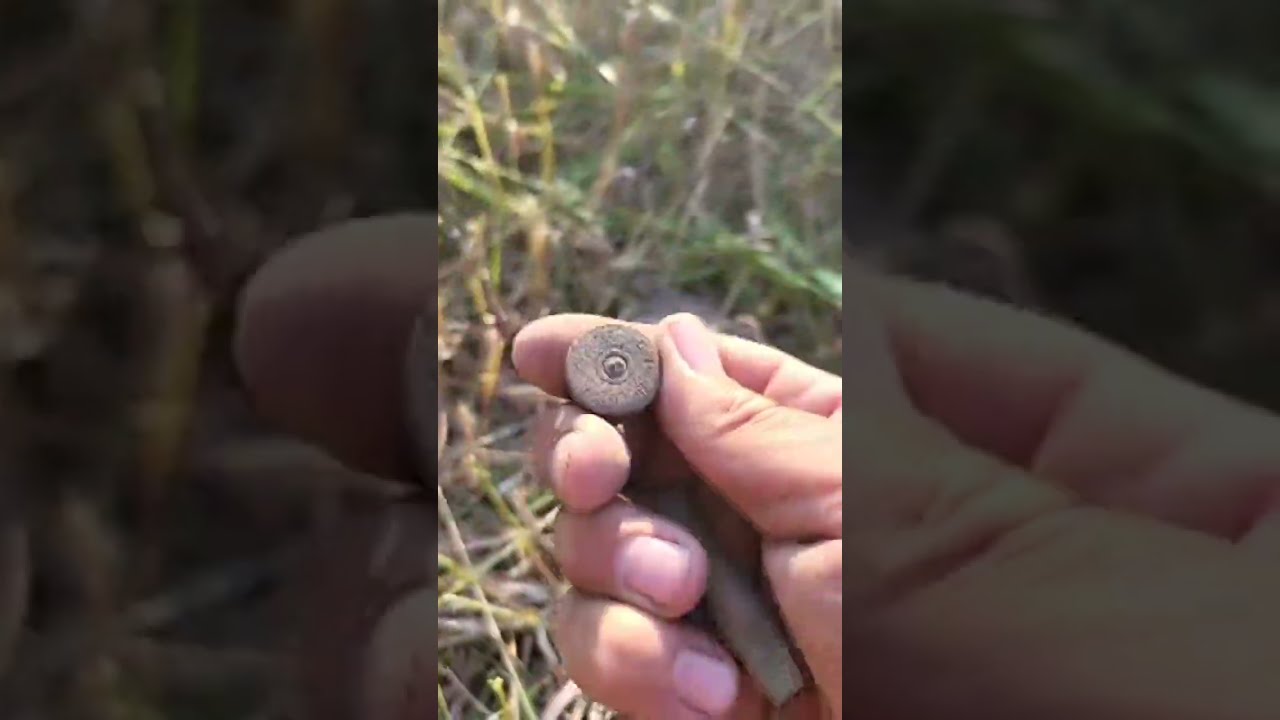 metal detecting on the homestead