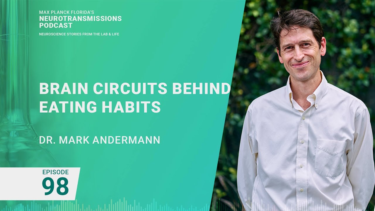 Podcast Episode 98 - Brain Circuits Behind Eating Habits | Mark Andermann