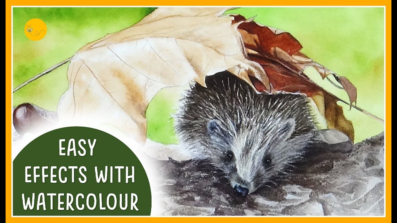 EASY WATERCOLOUR effects and techniques for beginners | HEDGEHOG tutorial