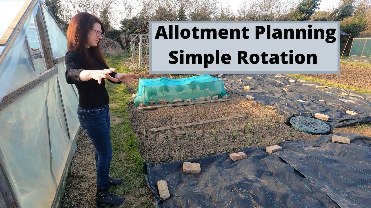Allotment Planning - Simple Crop Rotation For Beginners