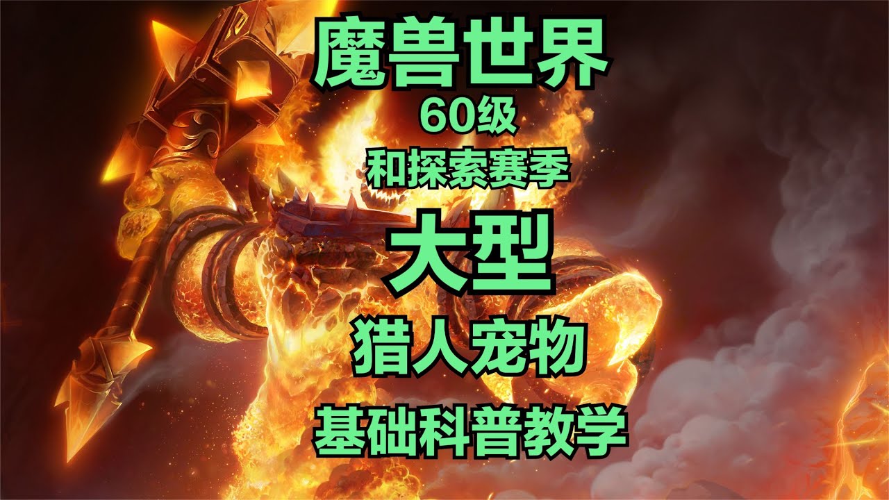60级和探索赛季，猎人究竟带什么宠物？超详细的宠物科普教学