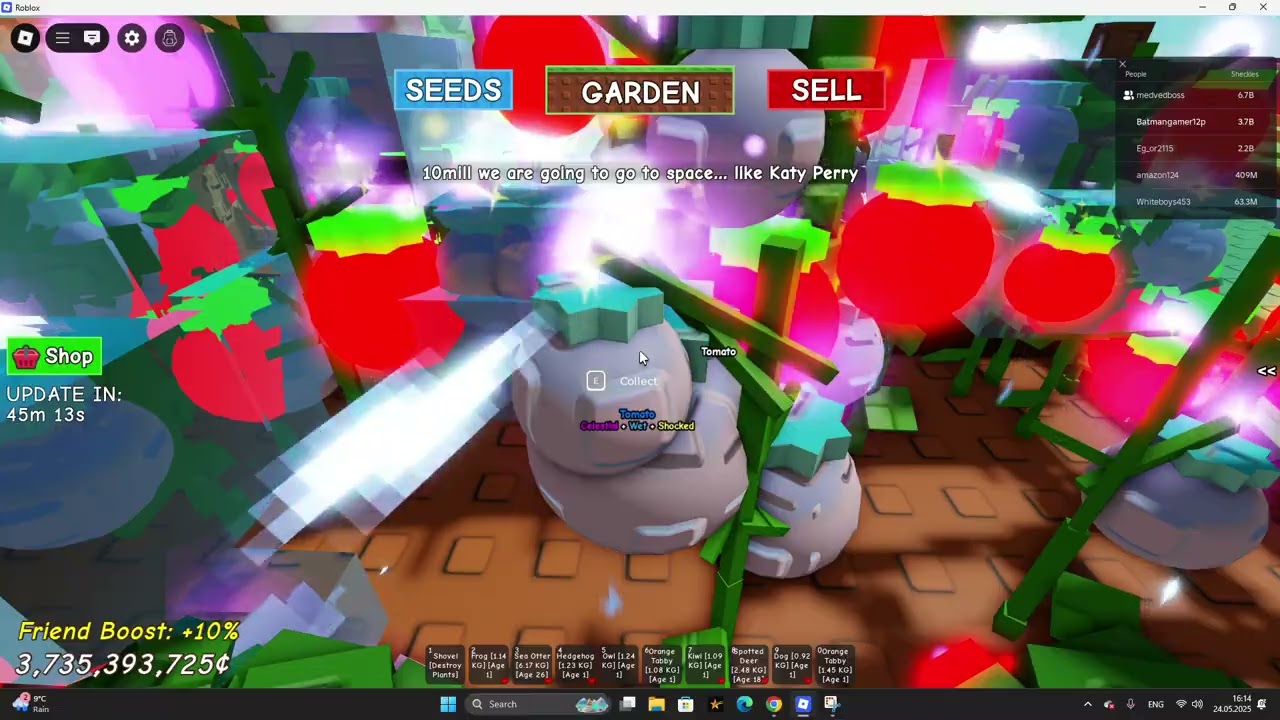 Запись 2025 05 24 163257