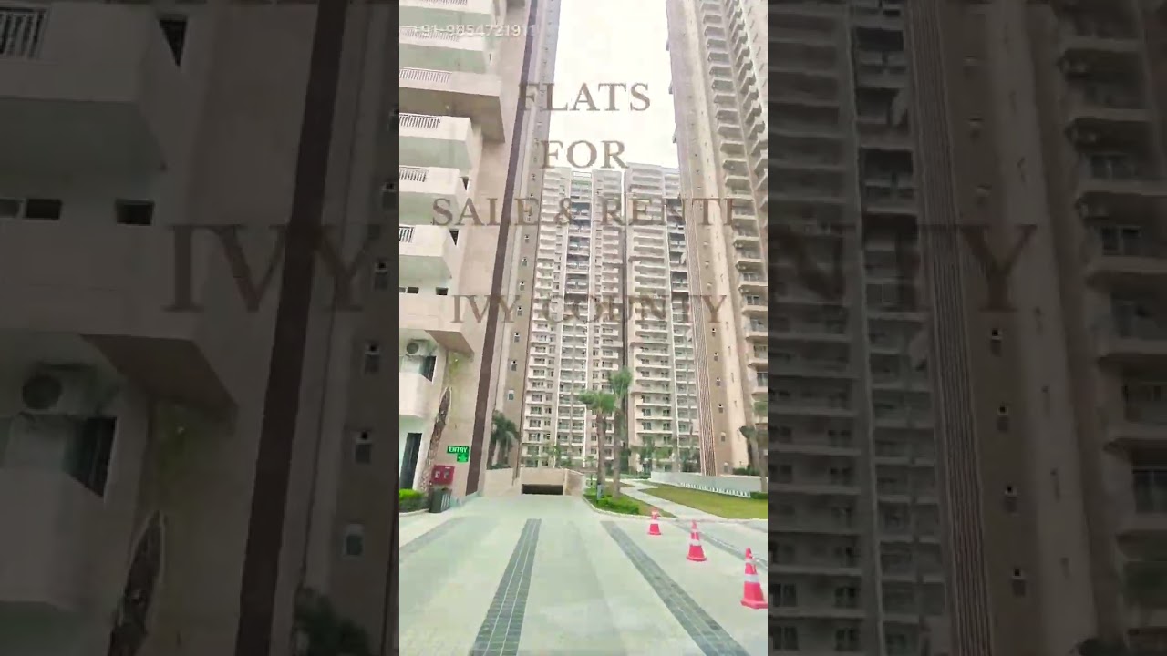 Flats available for Sale & Rent in Ivy County sector 75 Noida 
