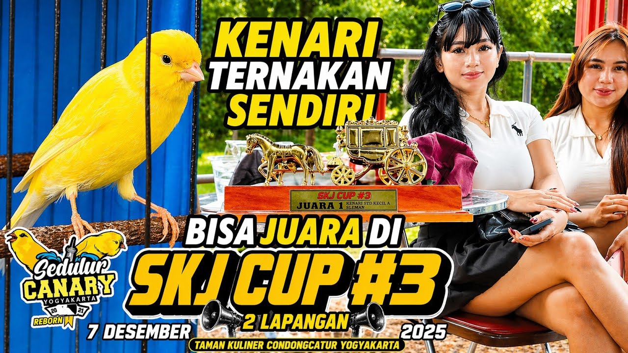 VLOG GANTANGAN‼️Kenari TERNAKAN sendiri bisa JUARA di Gelaran SKJ CUP 3....