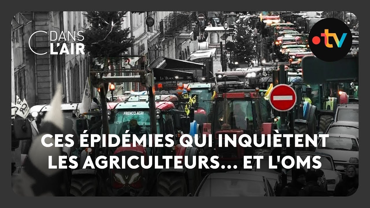 Ces épidémies qui inquiètent les agriculteurs... et l'OMS  -  C dans l’air - 15.12.2025