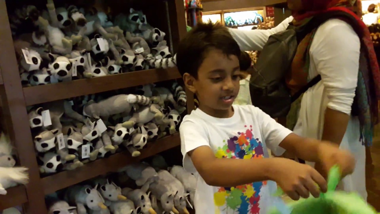 Souvenir Shop Tour & Collect Souvenir at Singapore Zoo