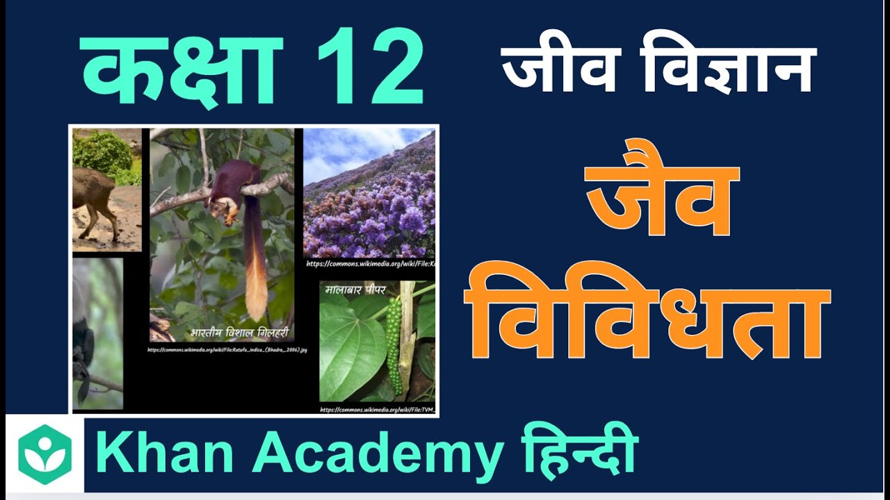 Biodiversity [Hindi] | Biodiversity and conservation | Grade 12 | Biology | Khan Academy