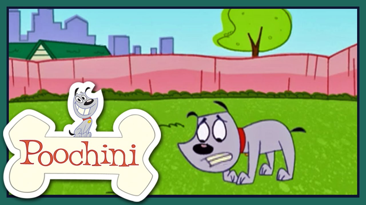 Poochini - Episódio 24 - A Hound in One / Poochersize / Super Hearing Dog