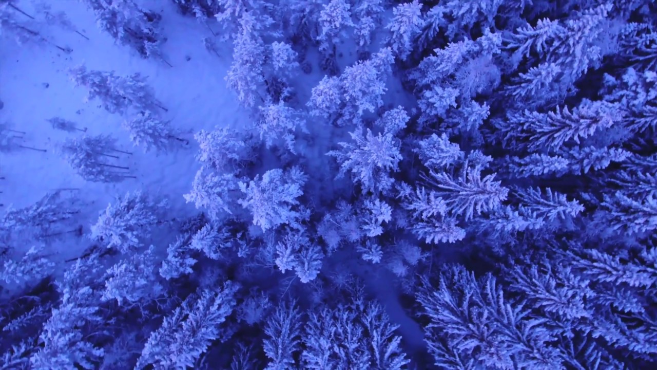 Love Burn Me Down official video - by Seela