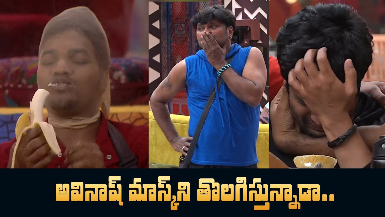 Big Boss 4 Day - 38 Highlights | BB4 Episode 39 | BB4 Telugu | Nagarjuna | IndiaGlitz Telugu
