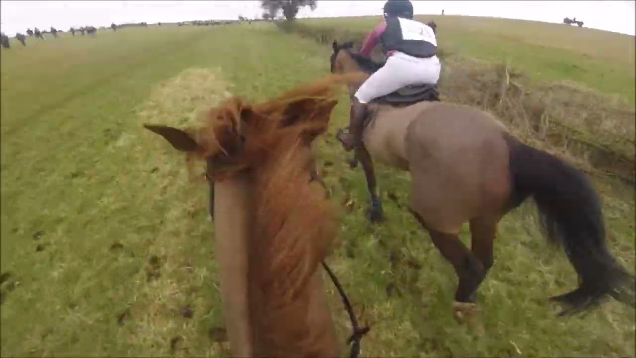 Cotswold Scurry Race 2022 - Flash