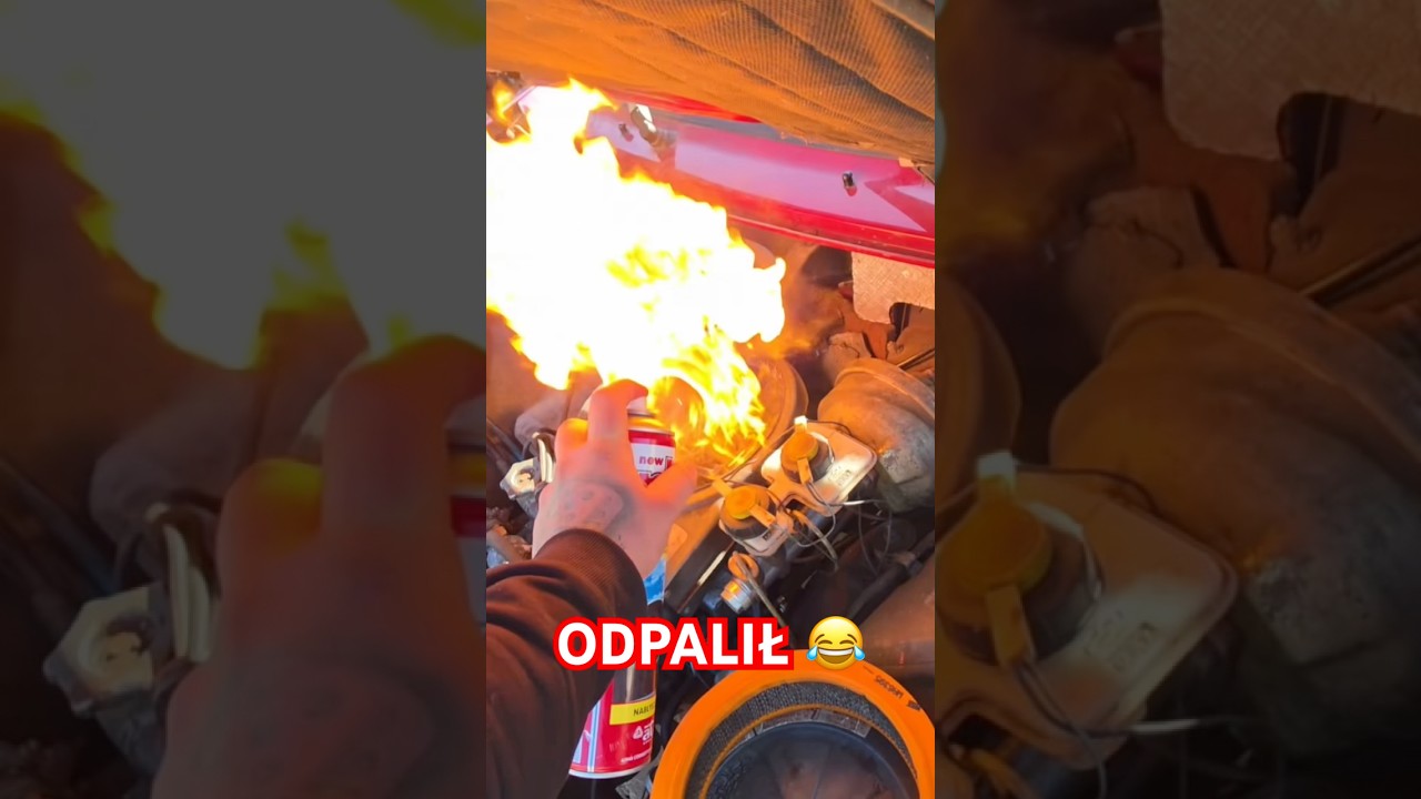 ODPALIŁ ?😂😂😂 #graoplon #shorst #funnymoments