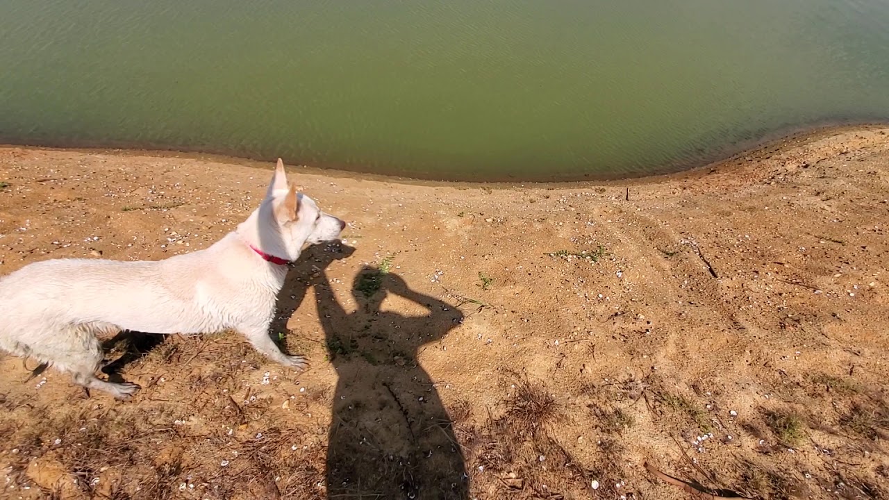 Gravel Diggers Destroy Fish Pond part 3