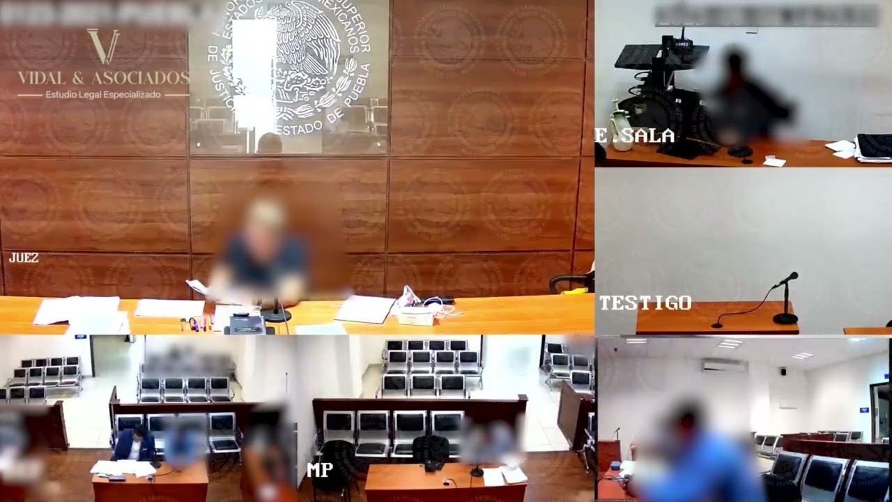 AUDIENCIA DE REVISIÓN DE SUSPENSIÓN CONDICIONAL DEL PROCESO