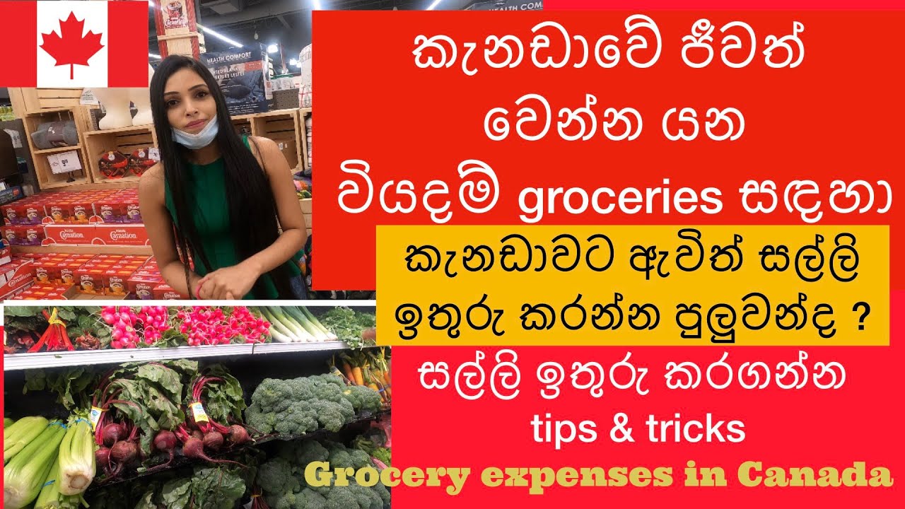 කැනඩාවේ ජීවත් වෙන්න යන වියදම් for groceries | Grocery expenses in Canada| සල්ලි ඉතුරු කරන්න පුලුවන්ද