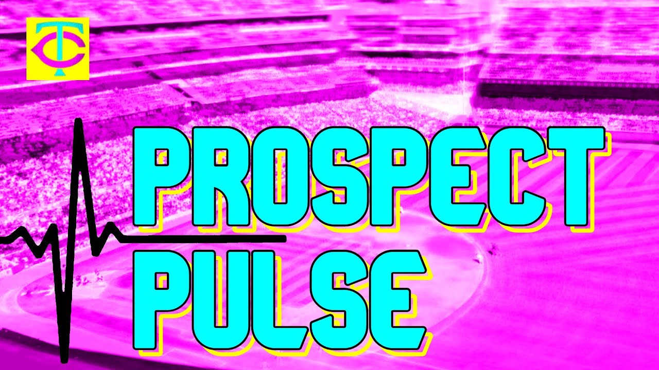 Twins Prospect Pulse: Spring Training Highlights And More