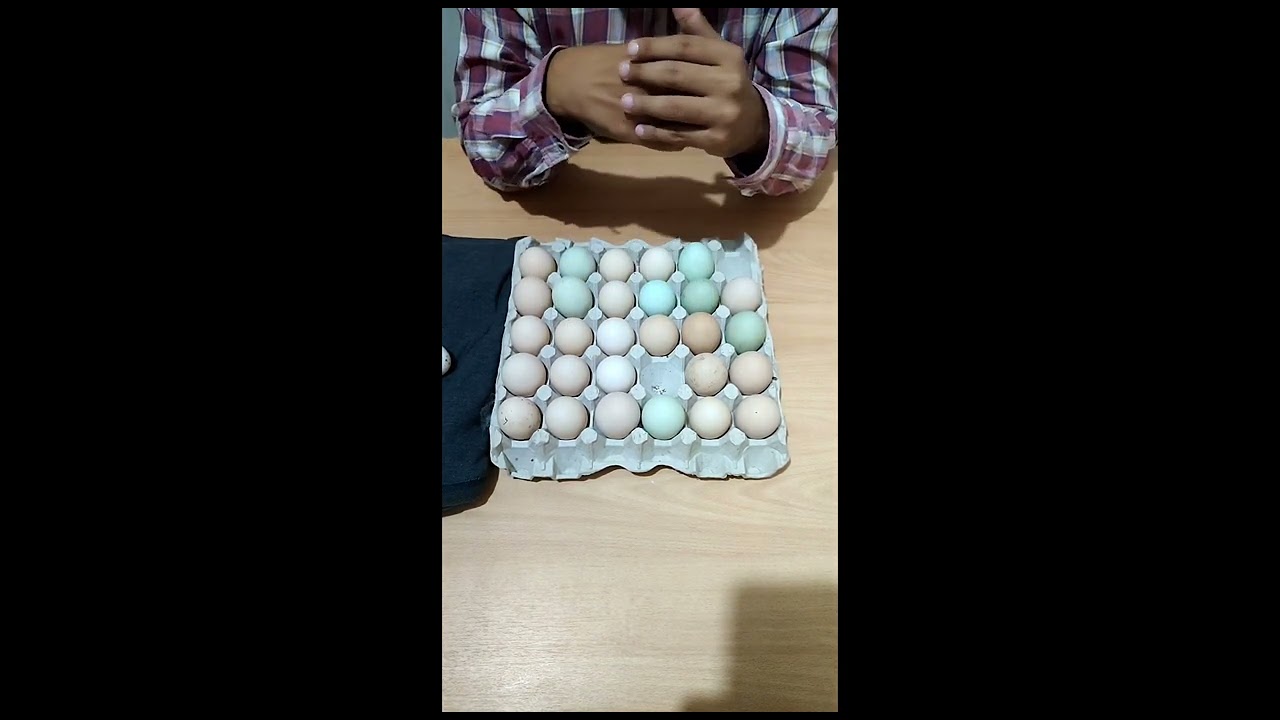 Correcta selección de huevos