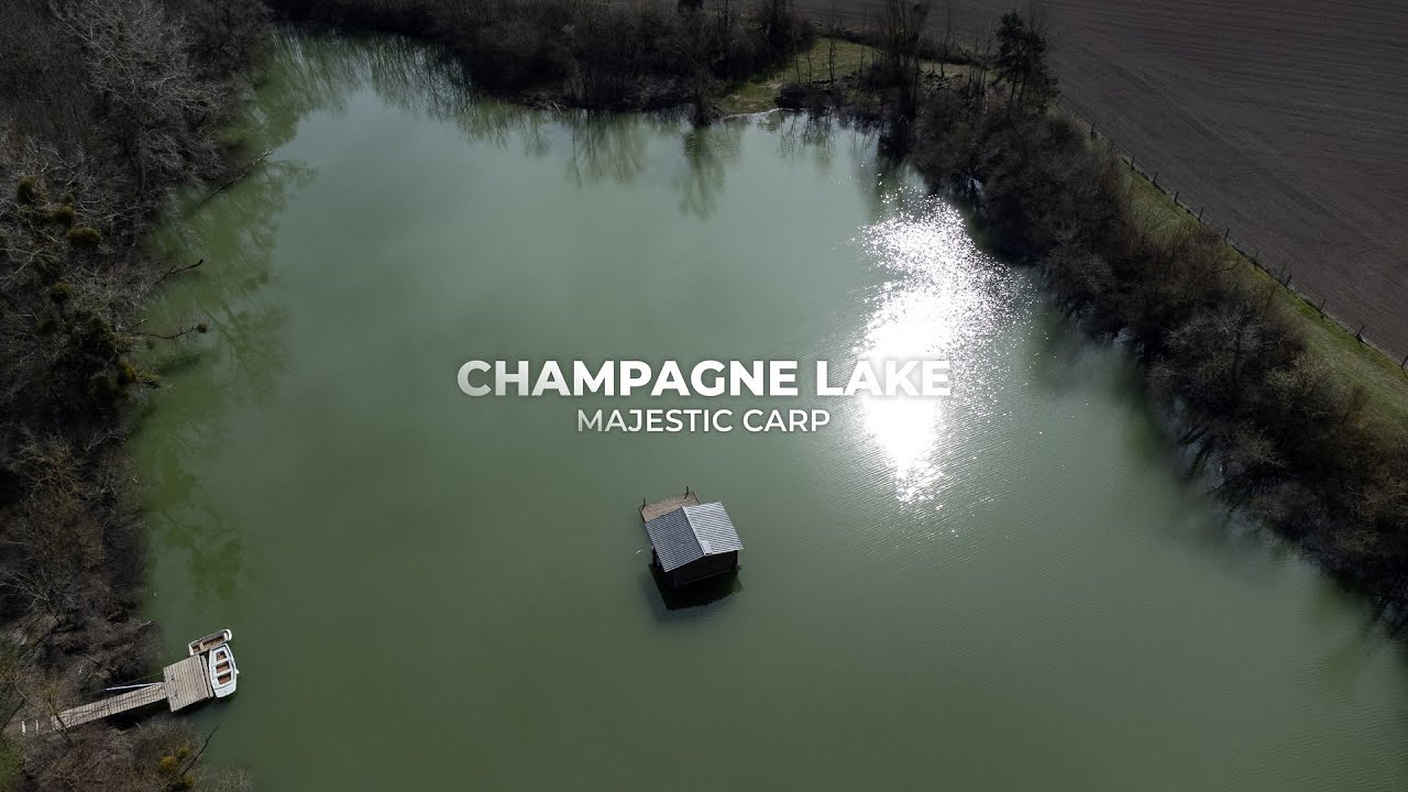 Champagne lake with Majestic Carp