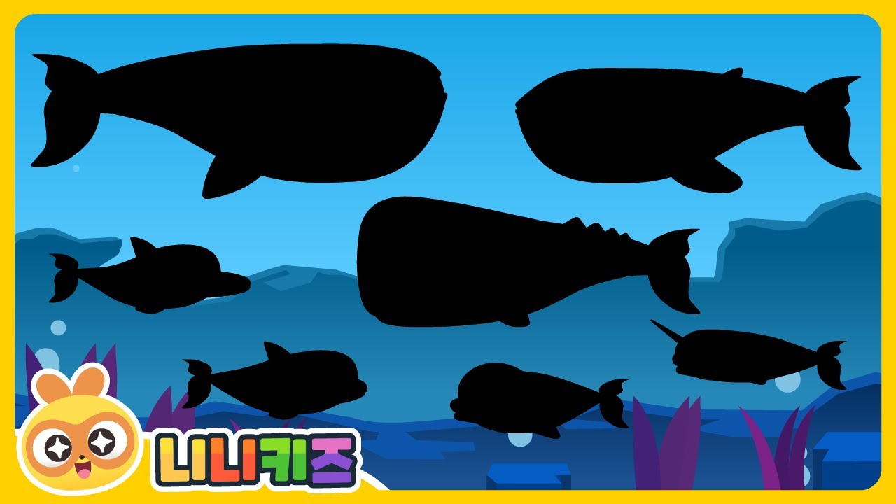 [영어] 나는 어떤 고래일까요? | 그림자 고래 놀이 | 아기고래? 고래상어? 돌고래? | 고래 맞추기 | 단어 놀이 | 니니키즈 NINIkids