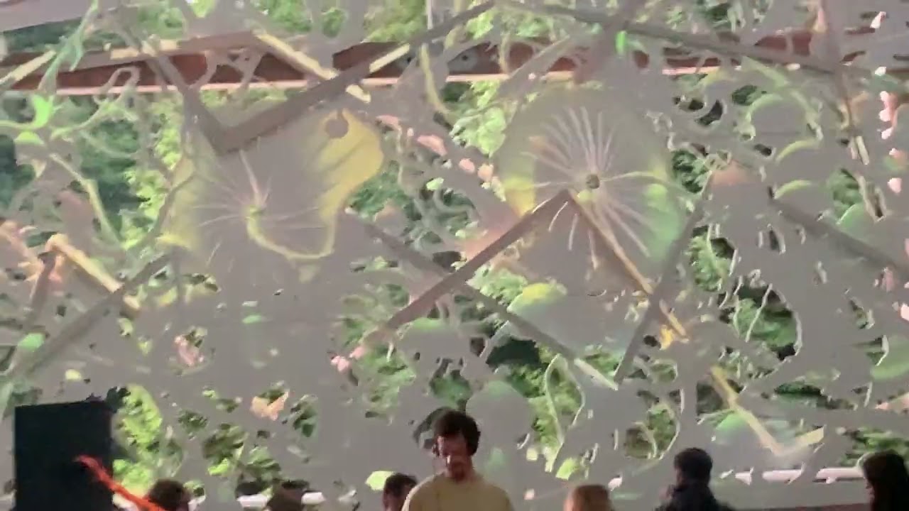 Rhadoo @ Dor de Munte 2023