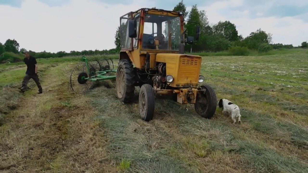 Начало сенокос 2020г Часть3 .Т-25 сгребает сено!