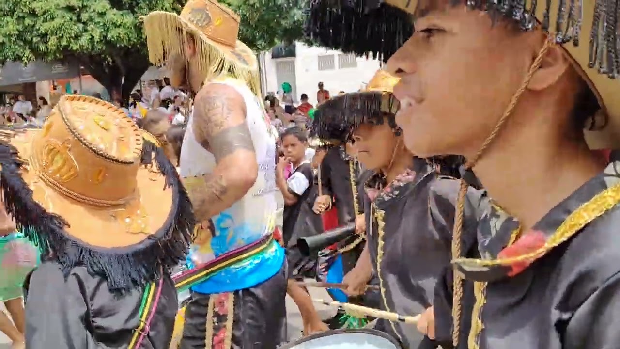 Boi Poderoso no carnaval folia dos Bois 2026 Cortejo da educação 
