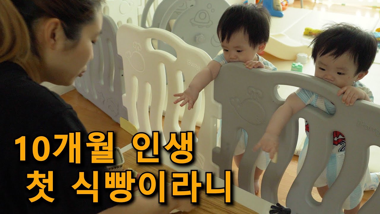 태어나서 처음 유기농 식빵을 먹어보는 쌍둥이들 / 10month old twins try bread for the first time