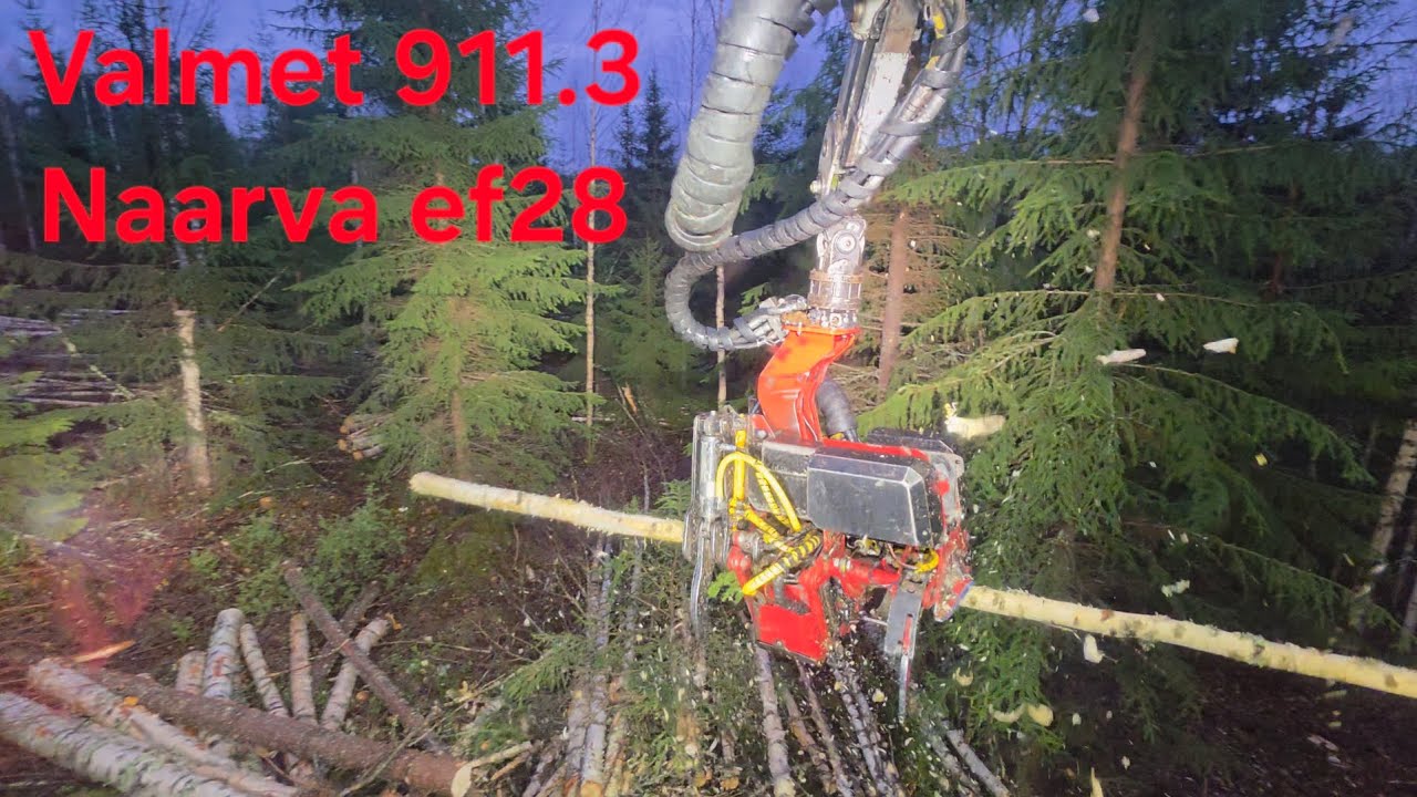 Valmet 911.3 / Naarva ef28