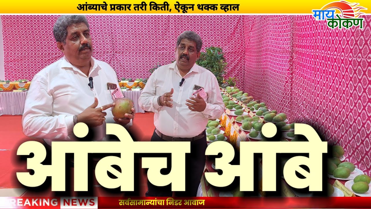Dapoli: आंब्यांचे प्रकार तरी किती | सांगताहेत कोकण कृषी विद्यापीठाचे डॉ. महेश कुलकर्णी