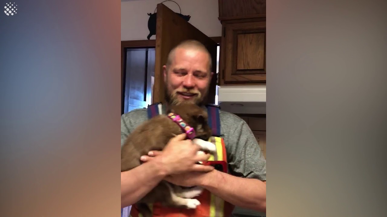 Dad overcome with emotion when surprised with husky puppy